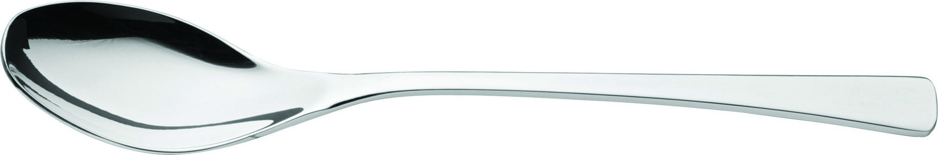 Curve Tea Spoon - F38010-000000-B01012 (Pack of 12)